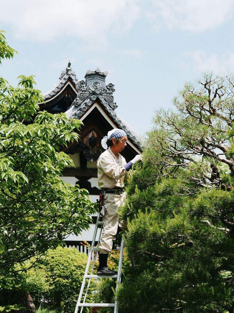 山本 由紀